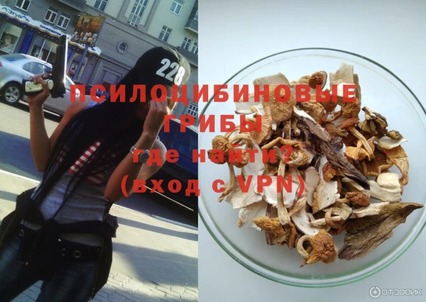 ешки Абинск