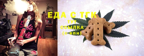 тгк Сатка